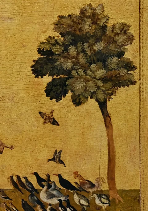 Saint Francis preaching to a flock of birds under a tree, from Giotto's Louvre panel.